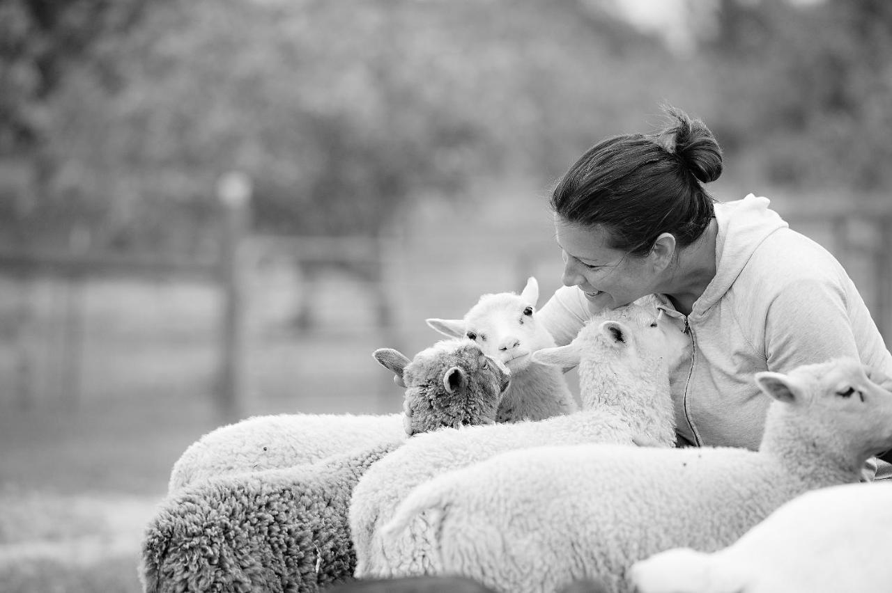 Reves De Moutons 호텔 파소 로블레스 외부 사진